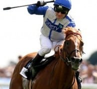 Reverence - after a series a injuries he was nursed back to health at Claire's parents stud before embarking on a remarkable climb to become European Champion