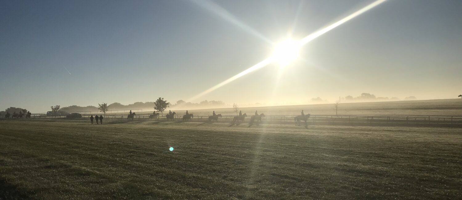Gallops